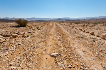 Road in Desert