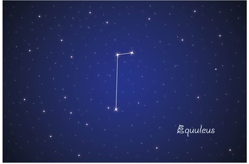 Constellation Equuleus