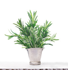 Rosemary in old metal bucket on white wooden table, isolated