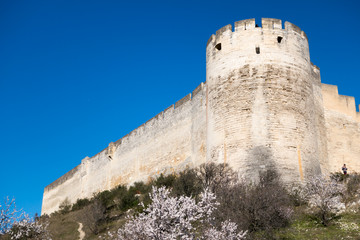 Fort saint André