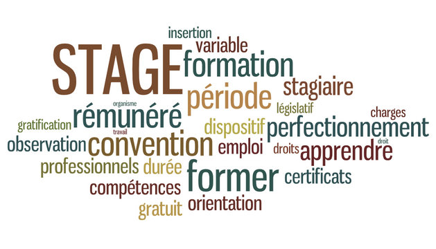 Nuage de Mots : stage