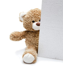 ourse en peluche et carton publicitaire © auryndrikson