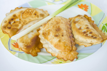 cheburek, meal, snack, pastry, food, eating, plate, pie