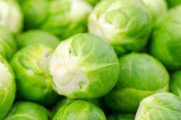 Brussels sprouts, closeup