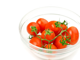 Tomatoes in the bowl