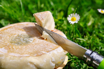 reblochon,fromage au lait cru, terroir français