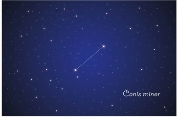 Obraz na płótnie Canvas Constellation Canis minor
