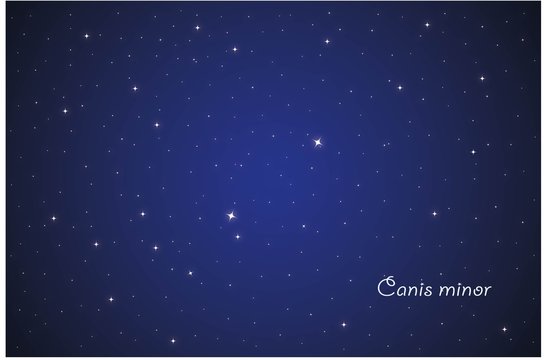 Constellation Canis minor