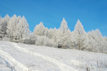 Beautiful winter landscape