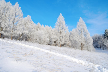 Beautiful winter landscape