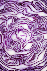 Red cabbage section close up