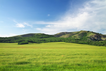 Fototapeta premium Green meadow in mountain. Composition of nature.