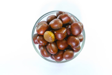Chestnut in glass blow