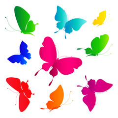 butterflies design