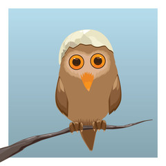 Owl Wearing Eggshell