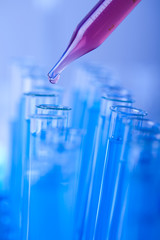Test tubes closeup, laboratory 