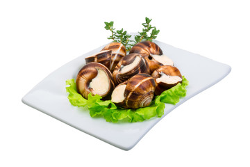 Escargot