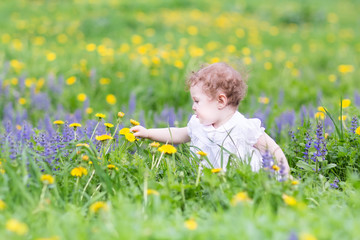 Cute baby girl playing with dandelions in a park