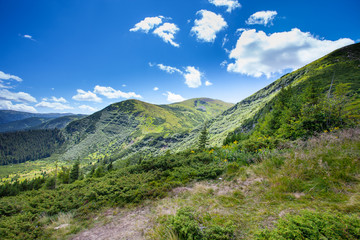 Fototapeta na wymiar Mountain trail in late summer with sky and trees in Karpathian 