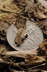 Norsk krone Norwegian krone Corona noruega 挪威克朗