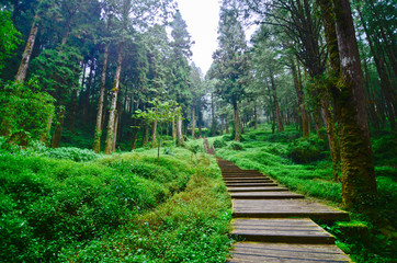 Obraz premium Alishan forest amusement park,Taiwan