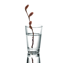 tiny spring still life