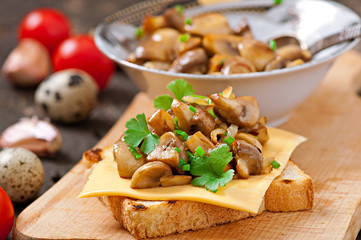 Toast sandwich with mushroom, cheese and parsley,selective focus