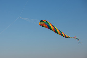 Kite in the air
