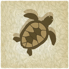 turtle old background