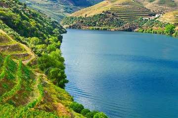 Valley  Douro