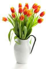 Tulips in the jug
