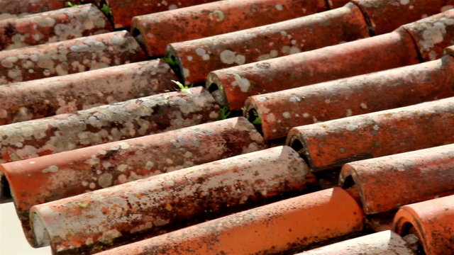 Clay rusty roof tile