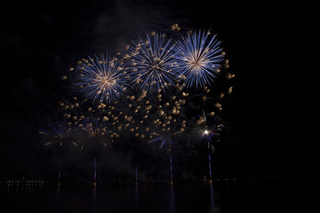 Colorful firework art by night.