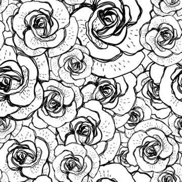 Seamless black and white background with roses