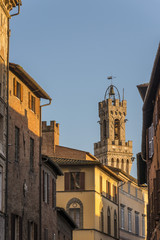 Fototapeta na wymiar Siena - Torre del Mangia