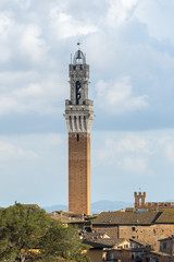 Fototapeta premium Siena - Torre del Mangia
