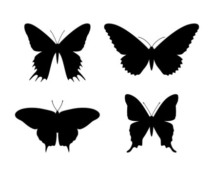 set of silhouettes of butterflies