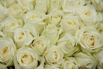 Group of white weddingflowers
