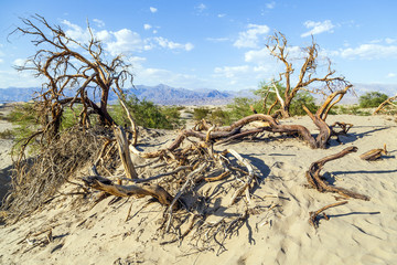 desert landscape in the death valley without people