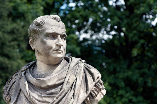 Aulus Vitellius, Roman Emperor bust