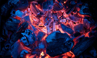 Burning campfire embers (hot coal)