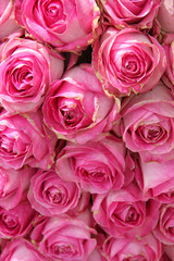 big pink roses in a wedding centerpiece