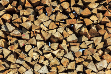 Logs of wood stacked in a saw-mill