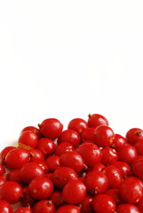 Palm fruits authentic fruits of Asia