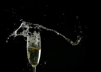Glass of champagne with splash, on black background
