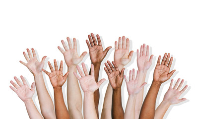 Group of Diverse Hands Raised