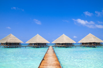 Maldives Dock with Crystal Clear Water