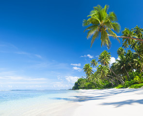 Beautiful Scenic Beach