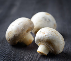 Fresh champignons on black wooden board