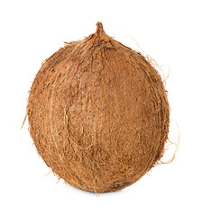 coconut
